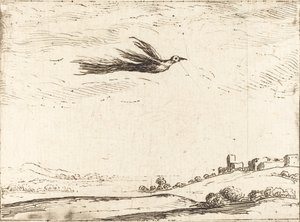 Paradicsom madár alkotó: Jacques Callot