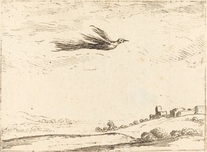 Paradicsom madár alkotó: Jacques Callot