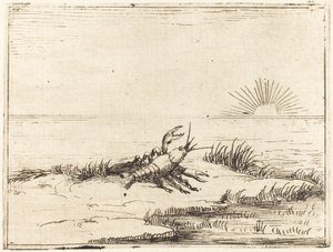 Rák nézi a napot alkotó: Jacques Callot