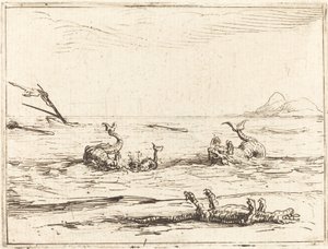 Delfinek és krokodilok alkotó: Jacques Callot