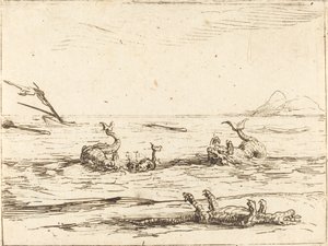 Delfinek és krokodilok alkotó: Jacques Callot