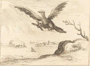 Eagle and Young. alkotó: Jacques Callot