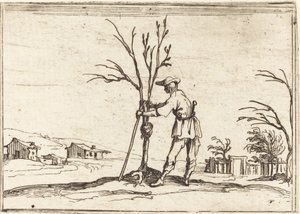 Kertész fát metsz alkotó: Jacques Callot