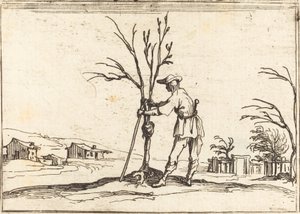 Kertész fát metsz alkotó: Jacques Callot