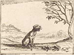 Oroszlán gyászolja a kölykét alkotó: Jacques Callot