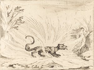 Szalamandra Lángokkal körülvéve alkotó: Jacques Callot
