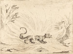 Szalamandra Lángokkal körülvéve alkotó: Jacques Callot