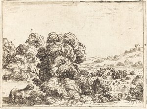 Bárány hívó bárány alkotó: Jacques Callot