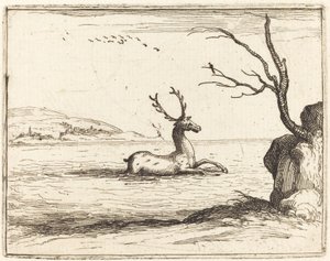 Szarvas a vízben alkotó: Jacques Callot