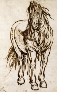 Egy ló tanulmányozása, alkotó: Jacques Callot