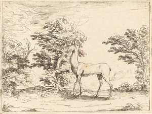 Az őzike alkotó: Jacques Callot