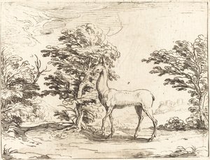 Az őzike alkotó: Jacques Callot