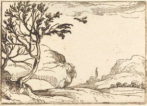 Turtle galamb repül a sivatagban alkotó: Jacques Callot