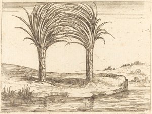 Két pálmafa alkotó: Jacques Callot
