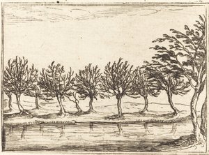 Fűzfa a víz szélén alkotó: Jacques Callot
