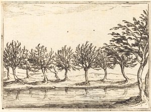 Fűzfa a víz szélén alkotó: Jacques Callot