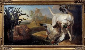 Braque kutya tőkés récét tart a szájában Jacques Charles Oudry festménye (1720-1778) 18. század Párizs, Dekoratív Művészetek alkotó: Jacques Charles Oudry