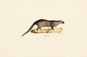  alkotó: Jacques Christophe Werner