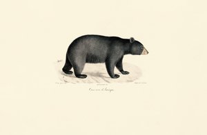  alkotó: Jacques Christophe Werner
