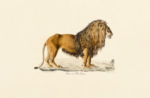  alkotó: Jacques Christophe Werner