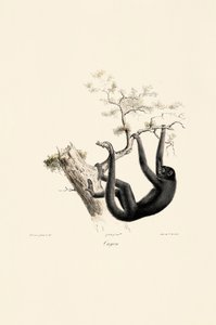  alkotó: Jacques Christophe Werner