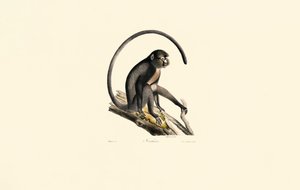  alkotó: Jacques Christophe Werner