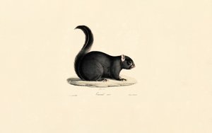  alkotó: Jacques Christophe Werner