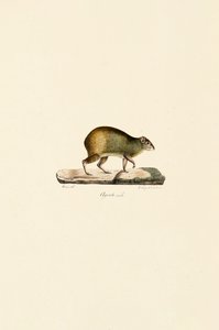  alkotó: Jacques Christophe Werner