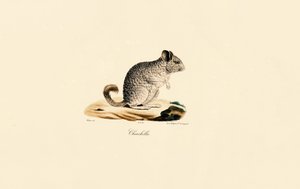  alkotó: Jacques Christophe Werner