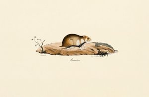  alkotó: Jacques Christophe Werner