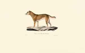 alkotó: Jacques Christophe Werner