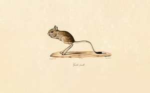  alkotó: Jacques Christophe Werner