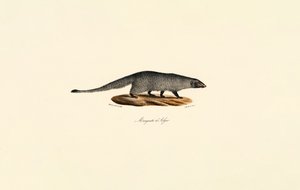  alkotó: Jacques Christophe Werner