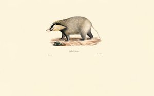  alkotó: Jacques Christophe Werner