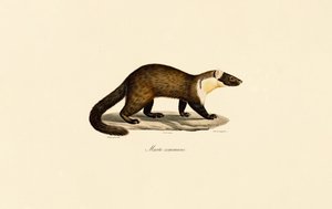  alkotó: Jacques Christophe Werner