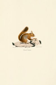  alkotó: Jacques Christophe Werner
