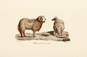  alkotó: Jacques Christophe Werner