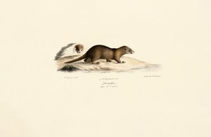  alkotó: Jacques Christophe Werner