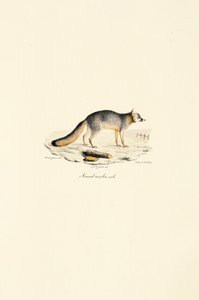  alkotó: Jacques Christophe Werner
