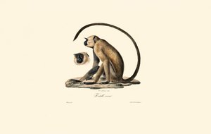  alkotó: Jacques Christophe Werner