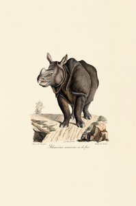  alkotó: Jacques Christophe Werner