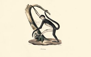 alkotó: Jacques Christophe Werner