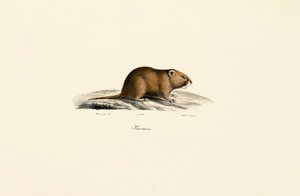  alkotó: Jacques Christophe Werner