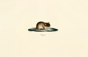  alkotó: Jacques Christophe Werner