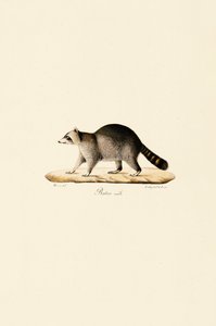  alkotó: Jacques Christophe Werner