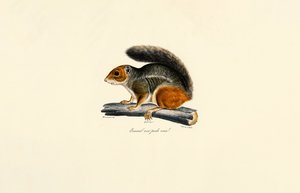  alkotó: Jacques Christophe Werner