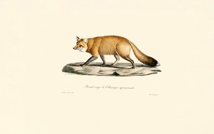  alkotó: Jacques Christophe Werner