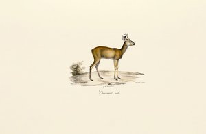  alkotó: Jacques Christophe Werner