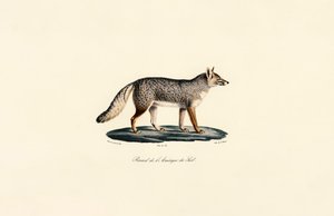  alkotó: Jacques Christophe Werner