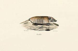  alkotó: Jacques Christophe Werner